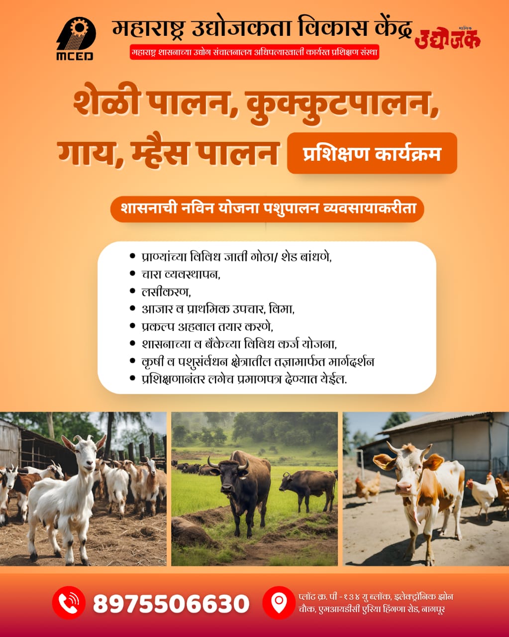 Goat, Poultry, Cow, Farming Training
