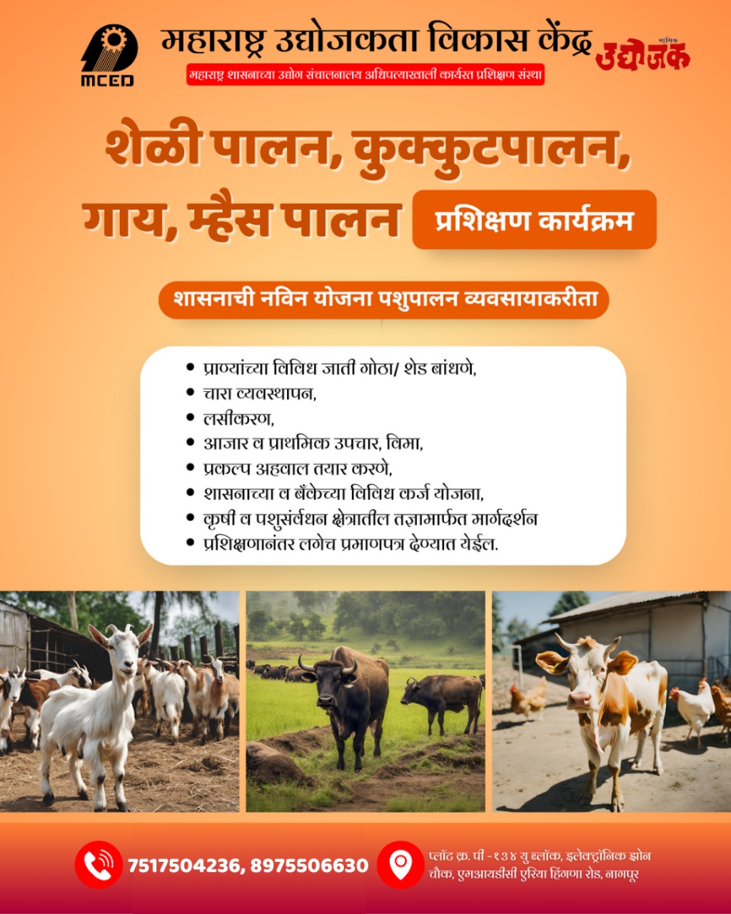 Online Goat, Poultry, Cow, Farming Training