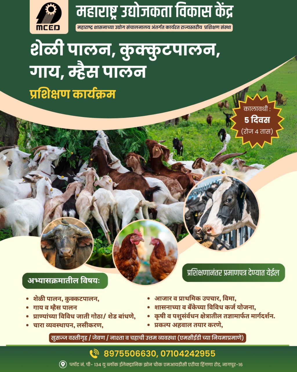 Goat, Poultry, Cow, Farming Training
