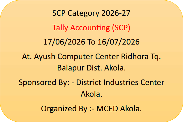 Tally Accounting