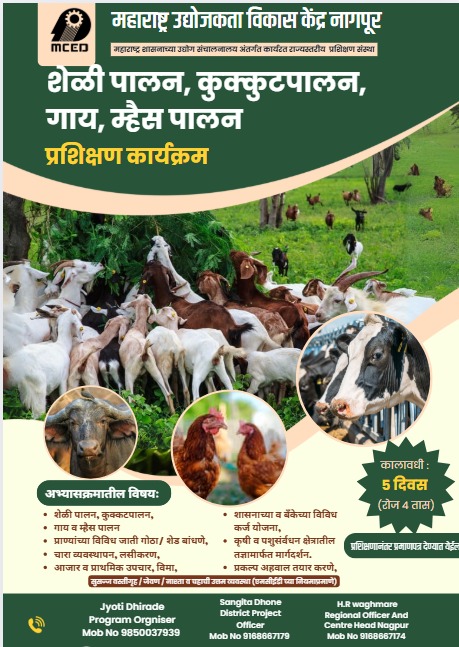 GOAT,DAIRY,POULTRY COW FARM TRAINING PROGRAMME