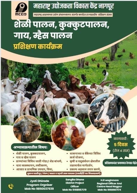 GOAT,DAIRY,POULTRY COW FARM TRAINING PROGRAMME