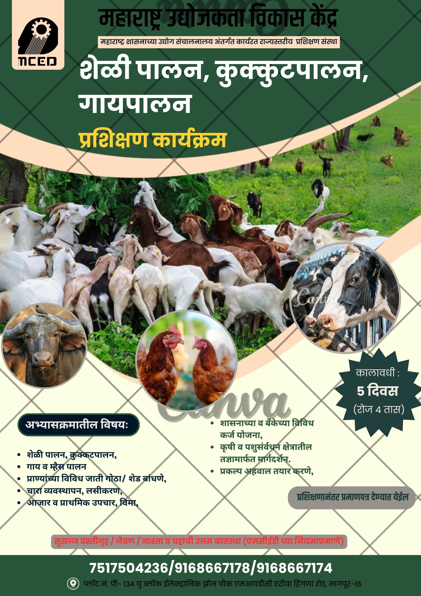 Goat, Poultry, Cow Farming Training Programme